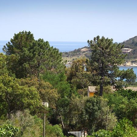 Villa Mimosa Favone Kültér fotó