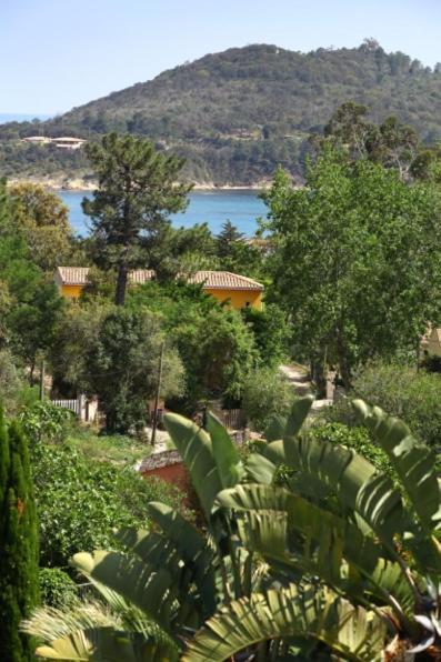 Villa Mimosa Favone Kültér fotó