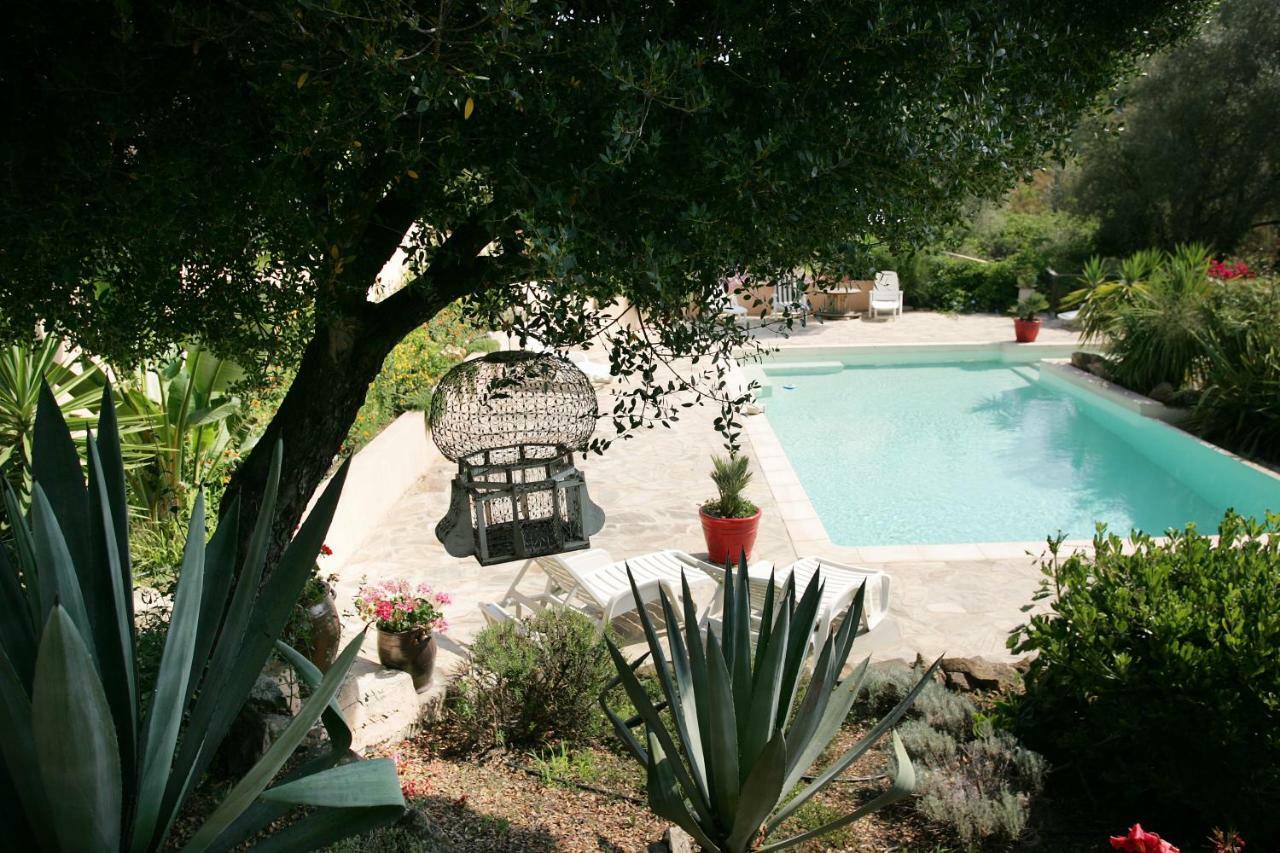 Villa Mimosa Favone Kültér fotó