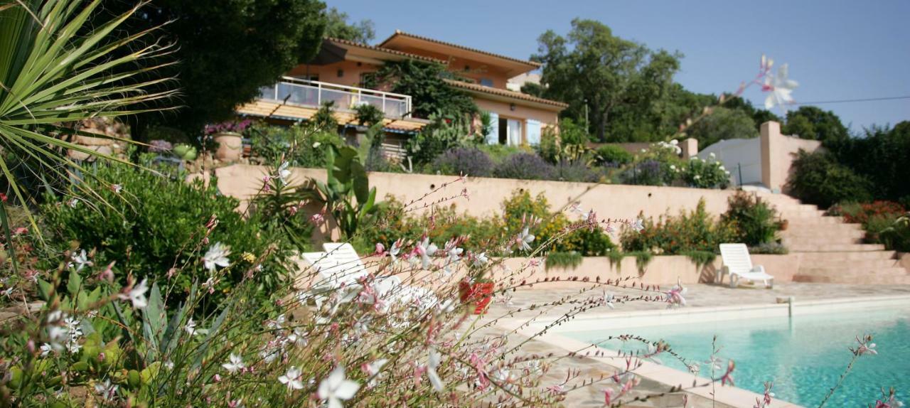 Villa Mimosa Favone Kültér fotó