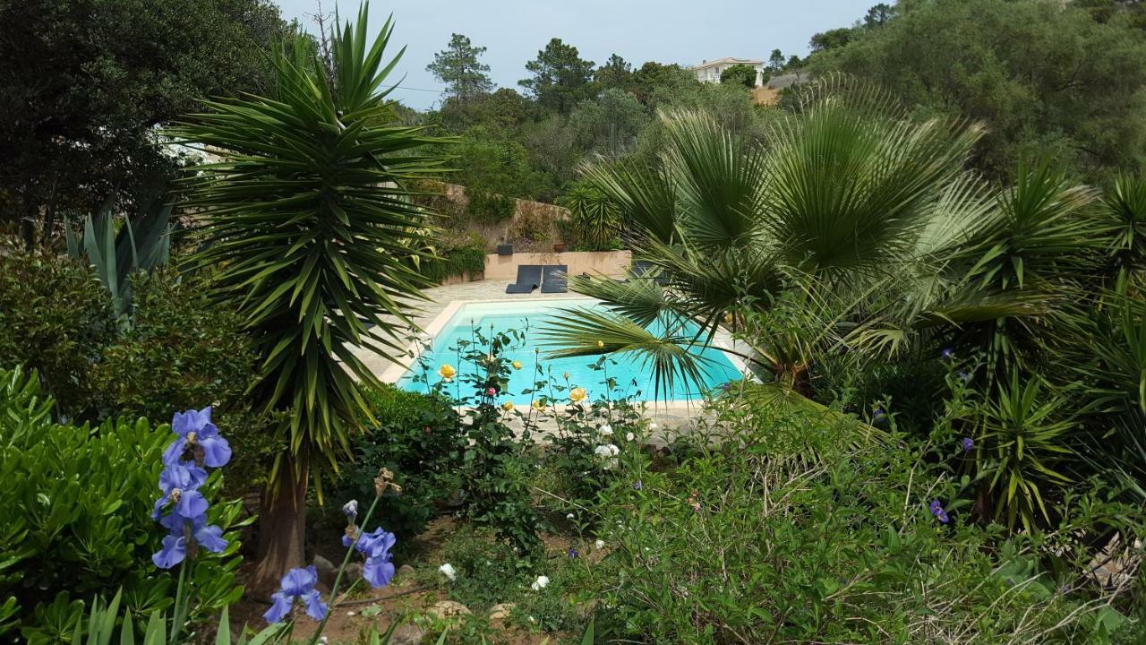 Villa Mimosa Favone Kültér fotó
