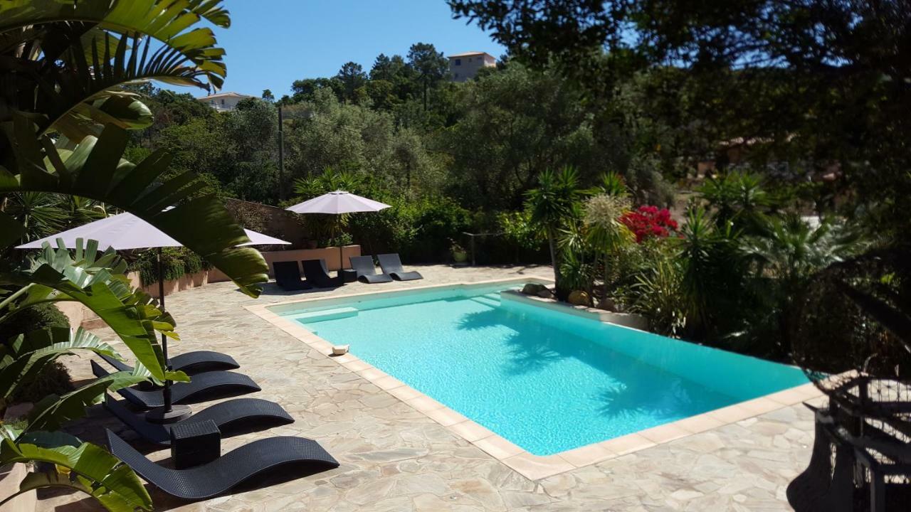 Villa Mimosa Favone Kültér fotó