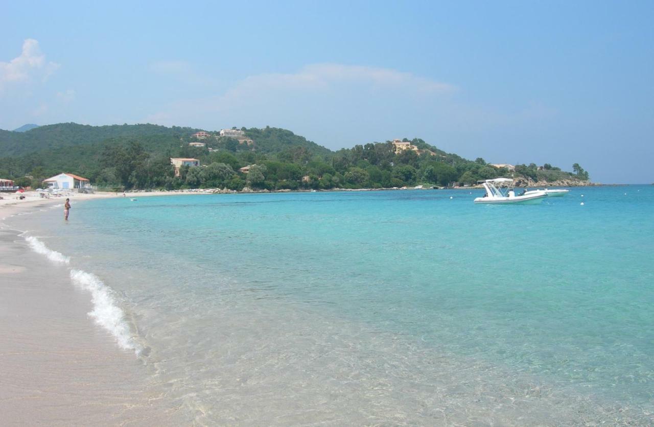 Villa Mimosa Favone Kültér fotó