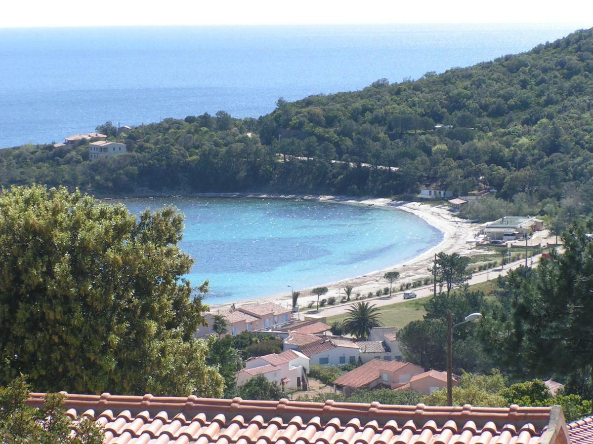 Villa Mimosa Favone Kültér fotó