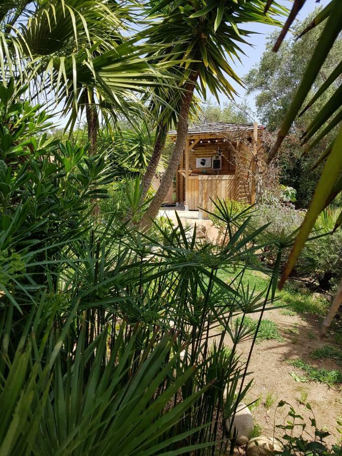 Villa Mimosa Favone Kültér fotó