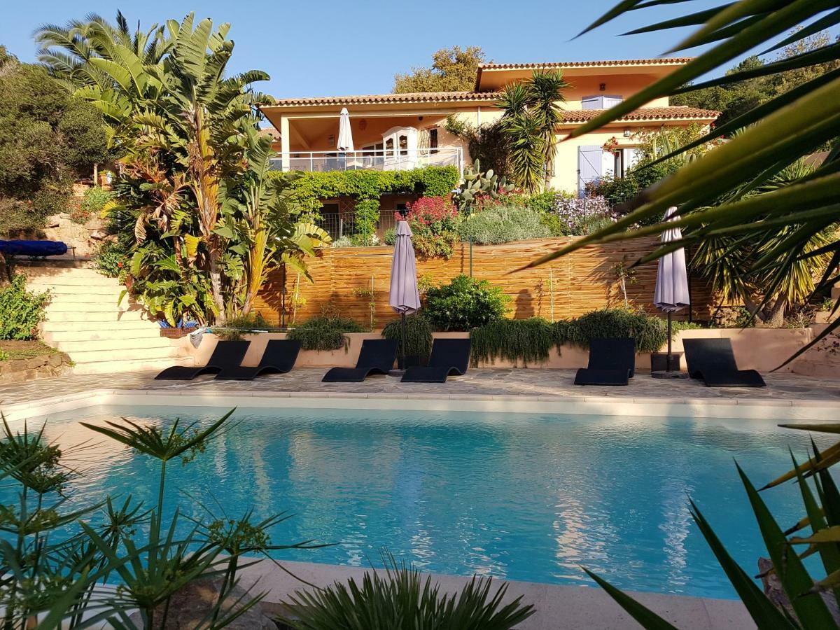 Villa Mimosa Favone Kültér fotó